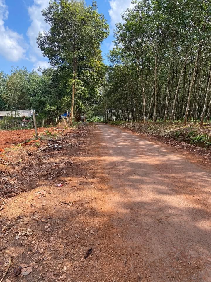 Đất nền Lộc Thuận 72000m² giá 1.32 tỷ - Sổ hồng chính chủ, thương lượng