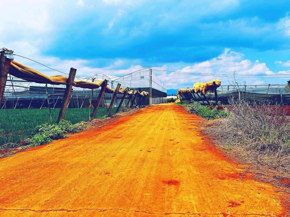 Đất nền Quảng Lập Đơn Dương 180m² giá 550 triệu - Đầu tư sinh lời ngay!