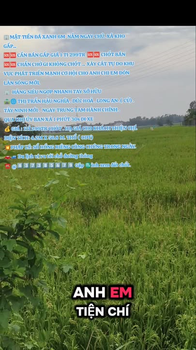 Đất nền mặt tiền Đá Xanh 239m² giá 1.299 tỷ - Cơ hội đầu tư sinh lời!