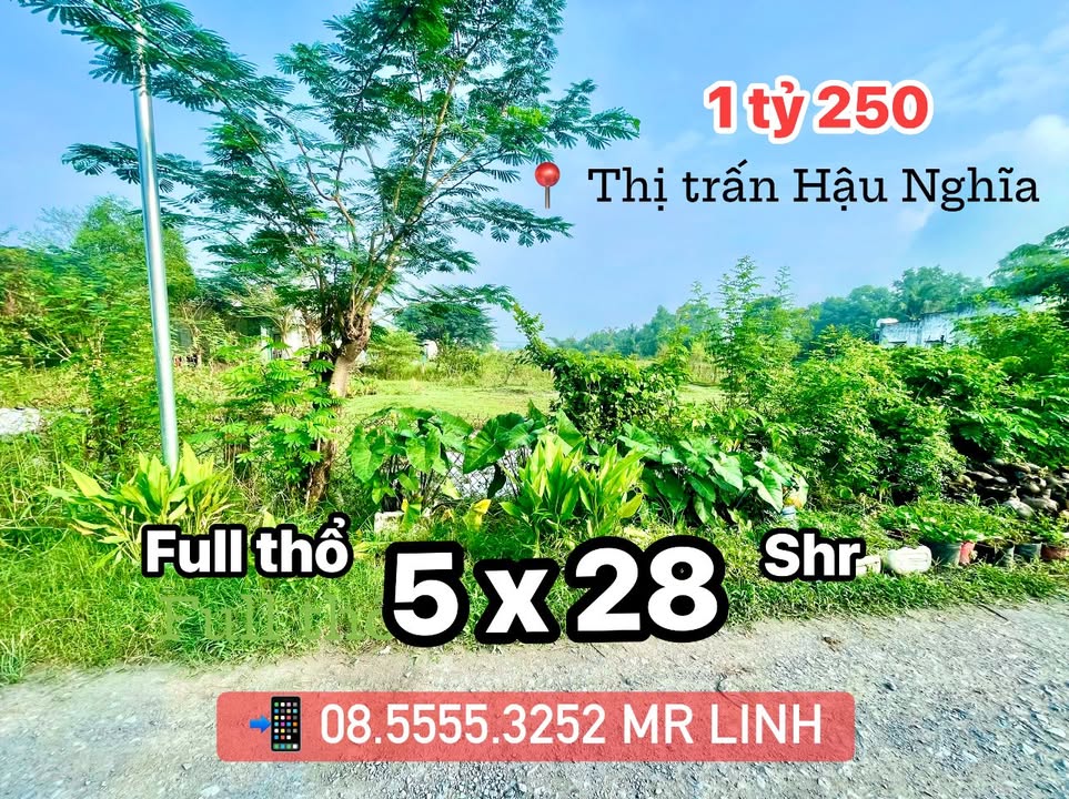 Đất thổ cư Hậu Nghĩa 140m² giá 1.25 tỷ - Cần bán gấp!
