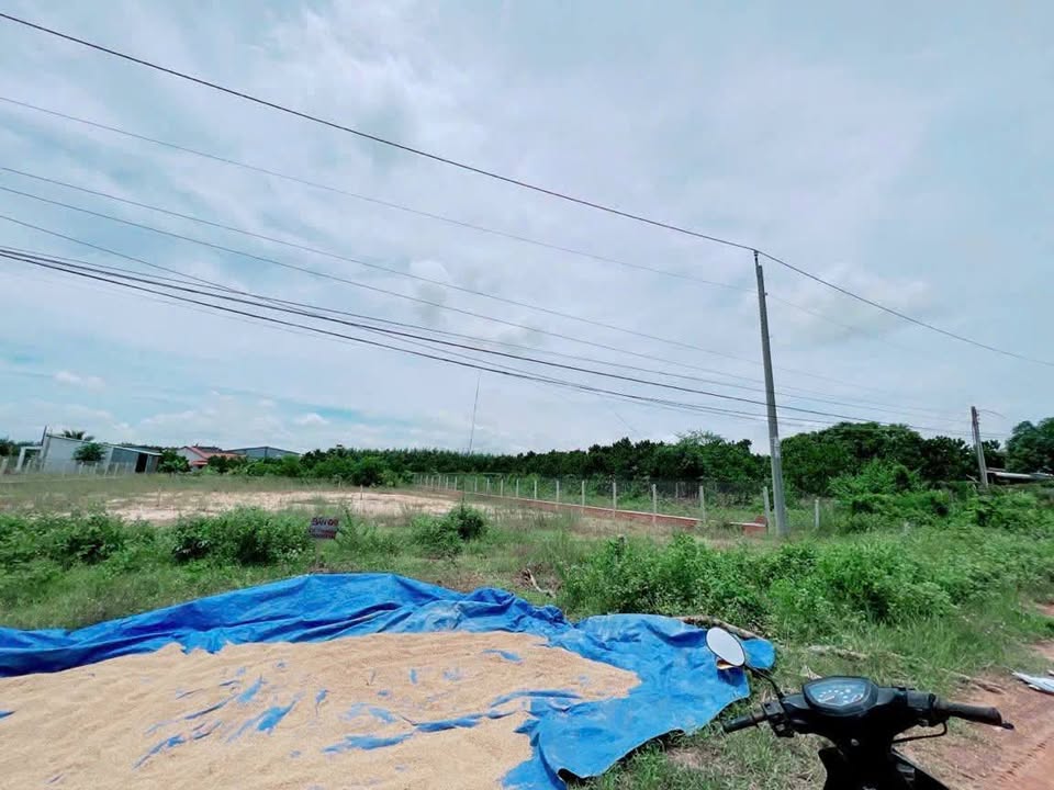 Đất thổ cư Long Chữ, Bến Cầu 540m² giá chỉ 1.1 tỷ - Cơ hội đầu tư tuyệt vời!