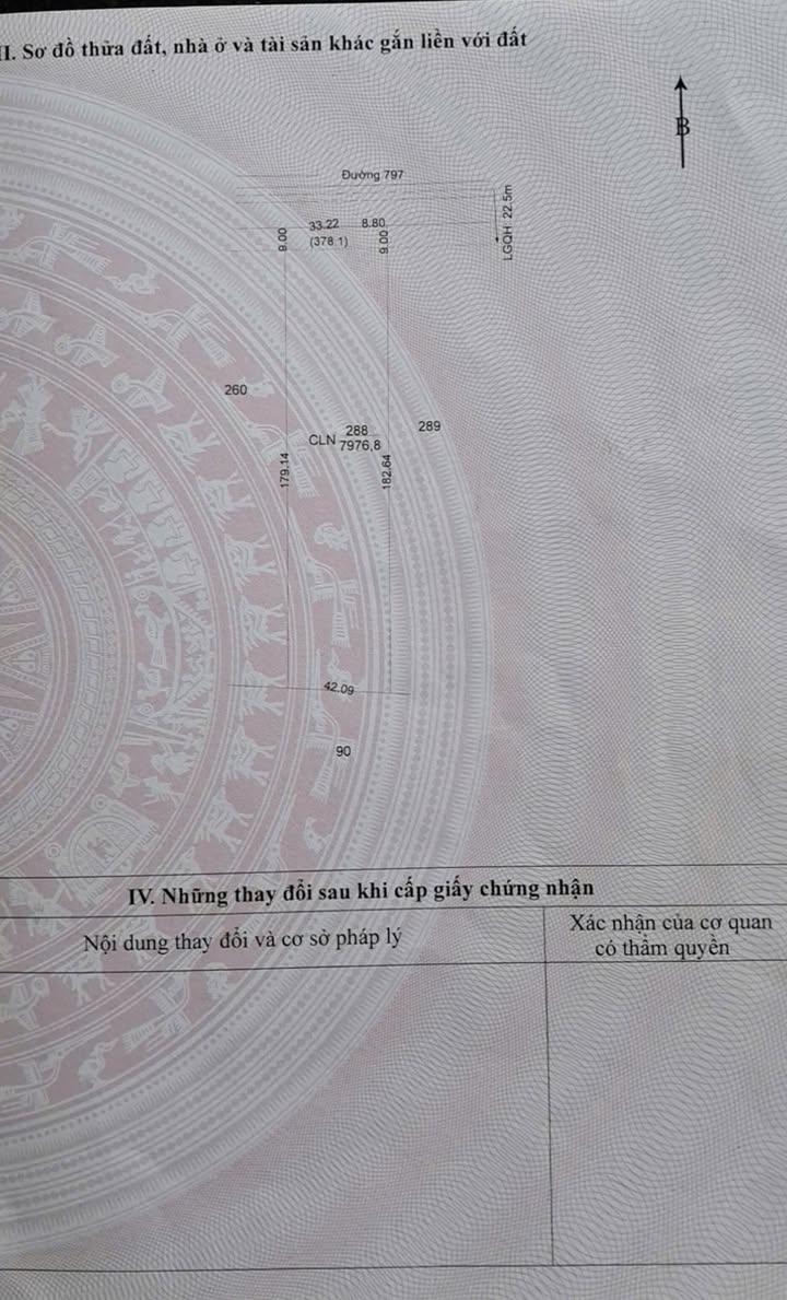 Đất nền 7977m² đường 797, xã Thạnh Bình, giá 120 triệu/m ngang - Cơ hội đầu tư tuyệt vời!