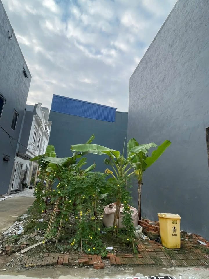 Lô đất góc 50m² tại Kiều Trung, An Dương - Giá chỉ 1.2 tỷ!