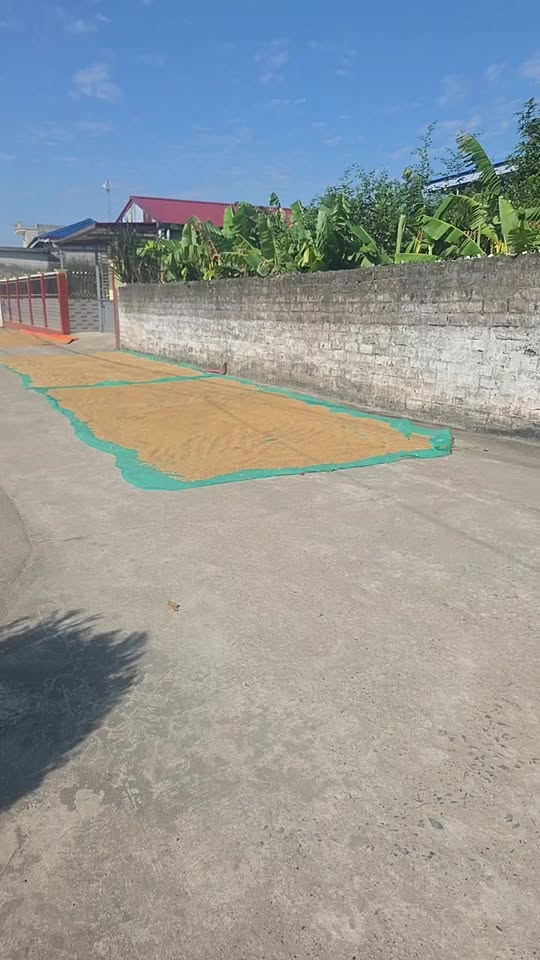 Đất nền Thôn Sinh Lộc, Xã Nam Hoa 125m² giá 800 triệu - Đầu tư sinh lời ngay!