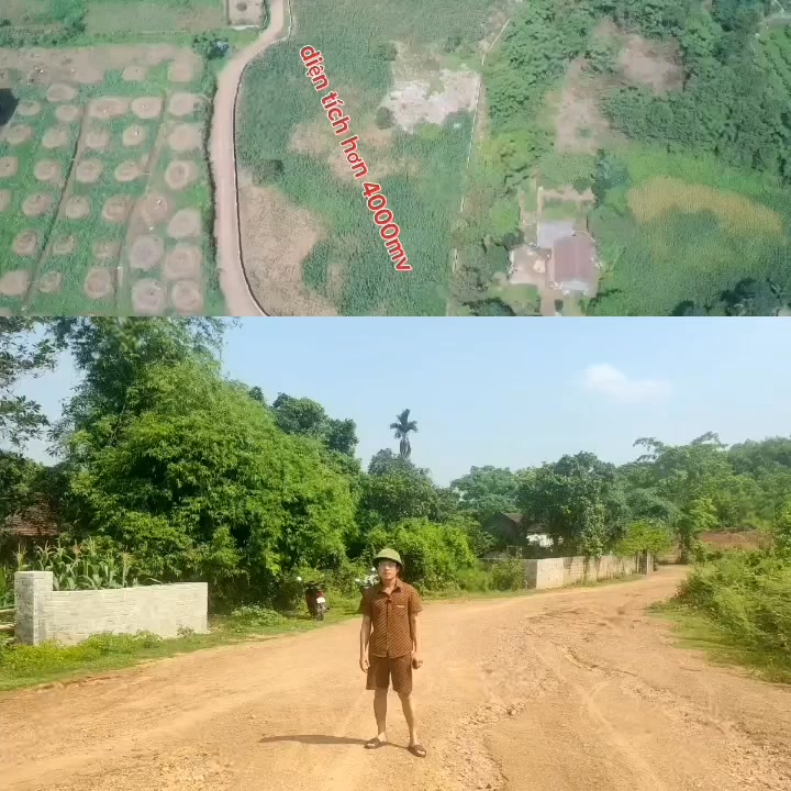 Đất nghỉ dưỡng tại Hồ Đá Lải, Ninh Bình 4000m² - Đầu tư sinh lời hấp dẫn!