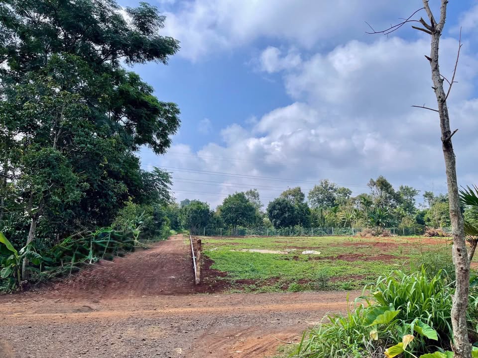 Đất nền Cuôr Đăng 106m² giá 735 triệu - Lô góc 2 mặt tiền, đầu tư sinh lời!