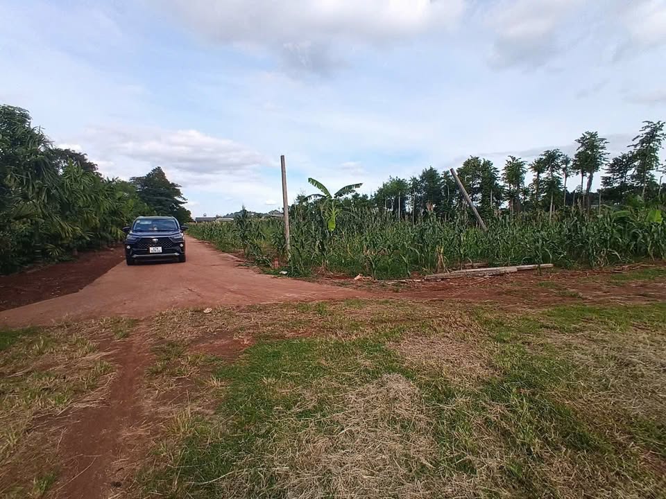 Lô đất thổ cư Cư Suê 125m² giá chỉ 385 triệu - Cơ hội đầu tư tuyệt vời!