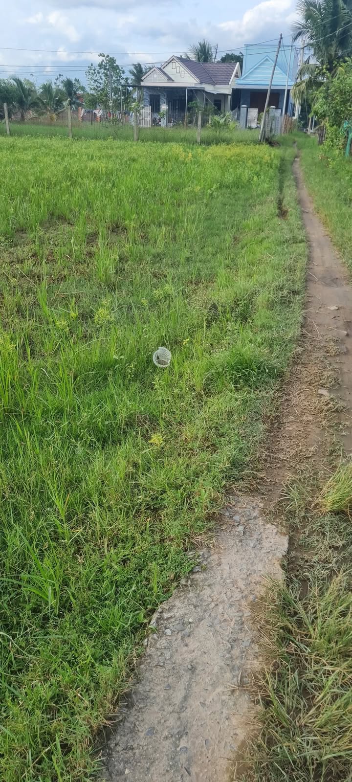 Đất nền Ninh Thọ 5900m² - Sổ đỏ chính chủ, thổ cư đầy đủ!