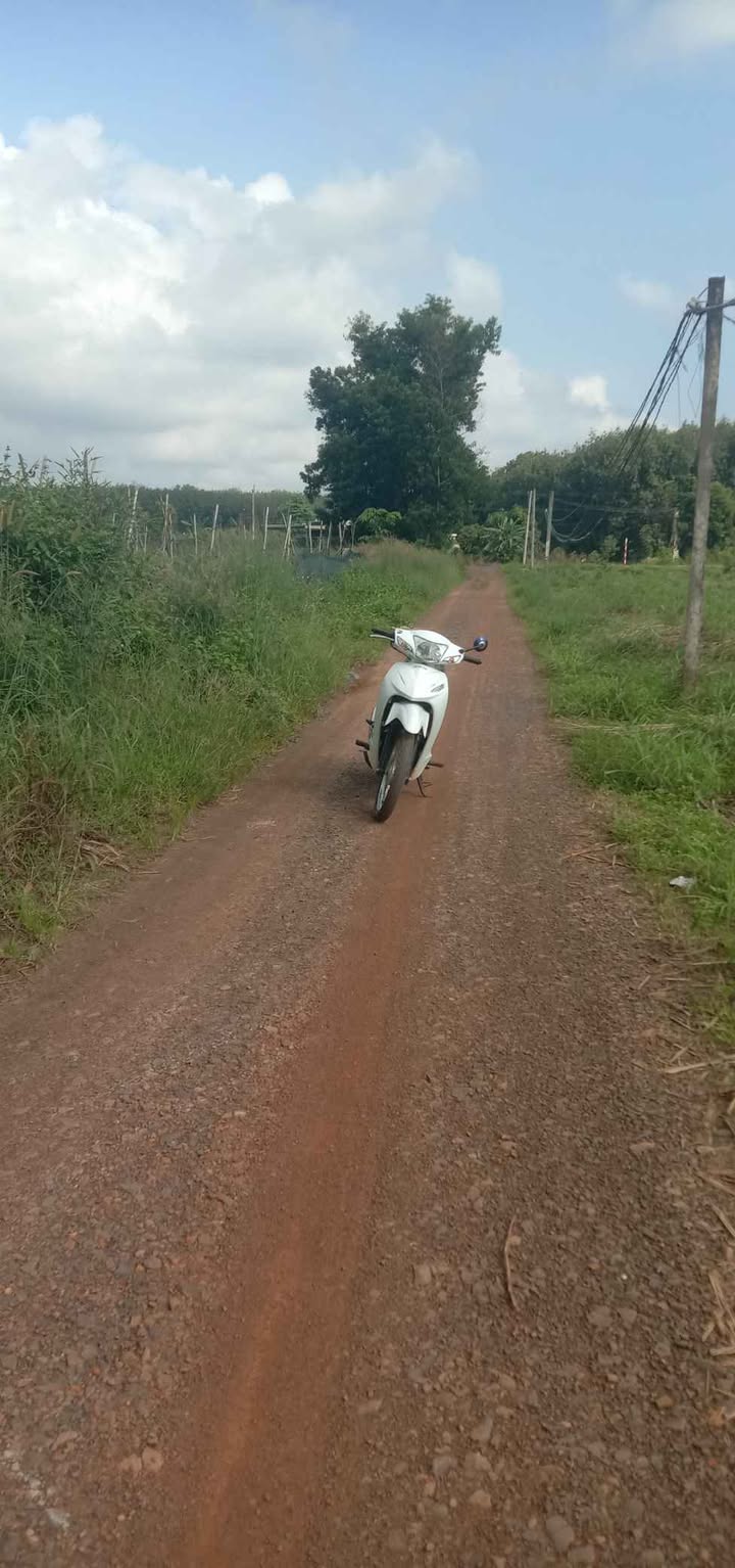 Đất nền Đồng Tiến, Đồng Phú 1560m² - Giá thỏa thuận hấp dẫn!