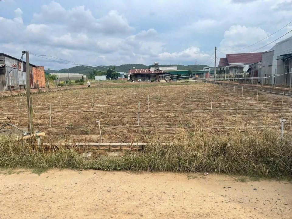 Đất nền Phú Hội Đức Trọng 212m² giá chỉ 1.2 tỷ - Cơ hội đầu tư không thể bỏ lỡ!