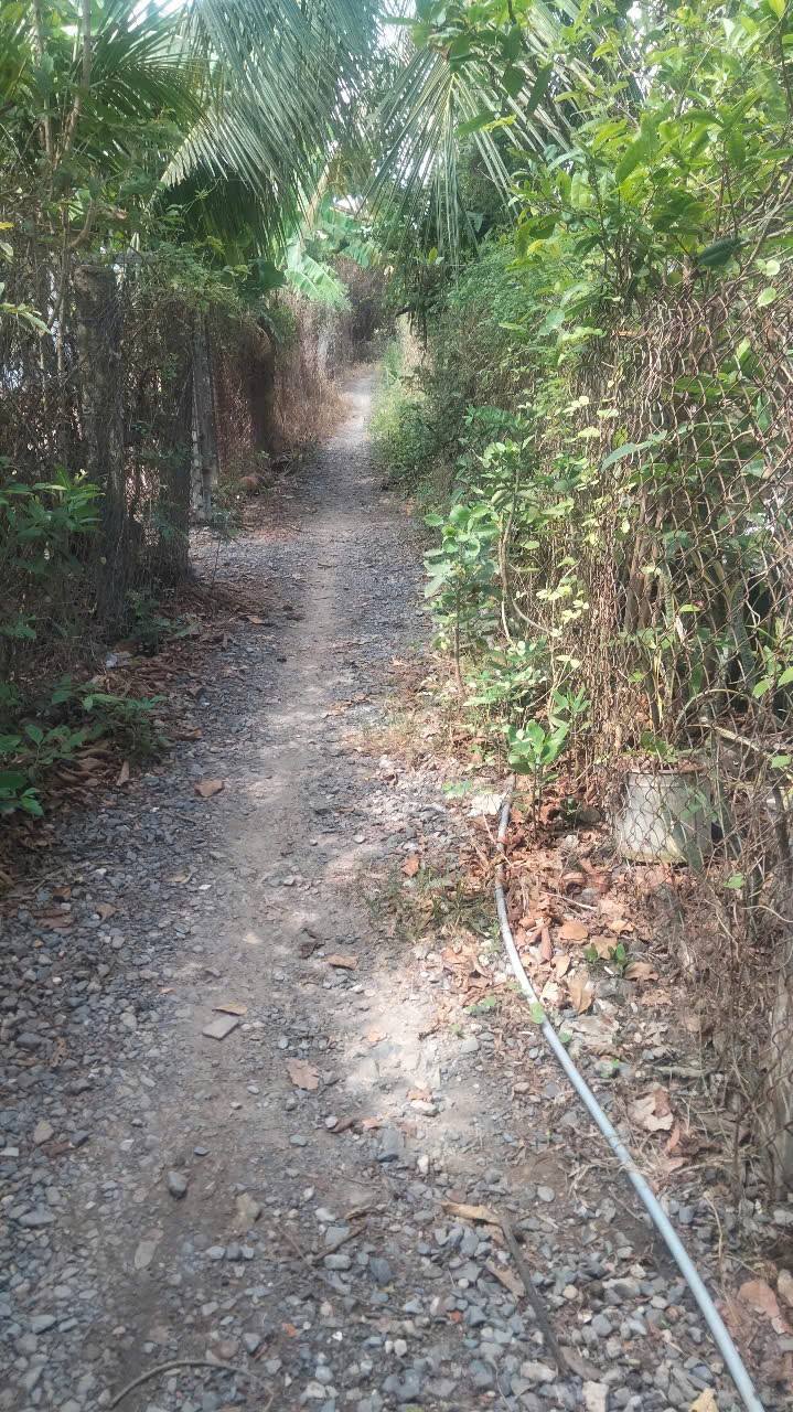 Đất nền Tân Bình, Tân Trụ 1270m² giá 899 triệu - Cơ hội đầu tư tuyệt vời!