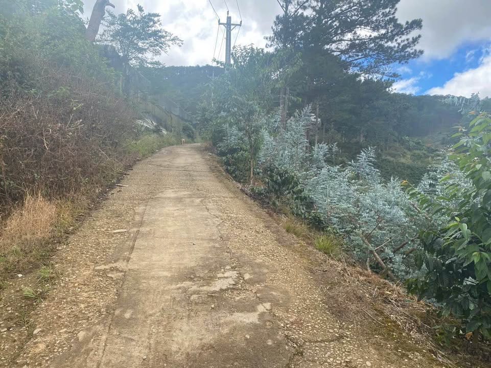 Đất nền Xuân Trường Đà Lạt 1063m² giá 1.5 tỷ - View săn mây tuyệt đẹp!