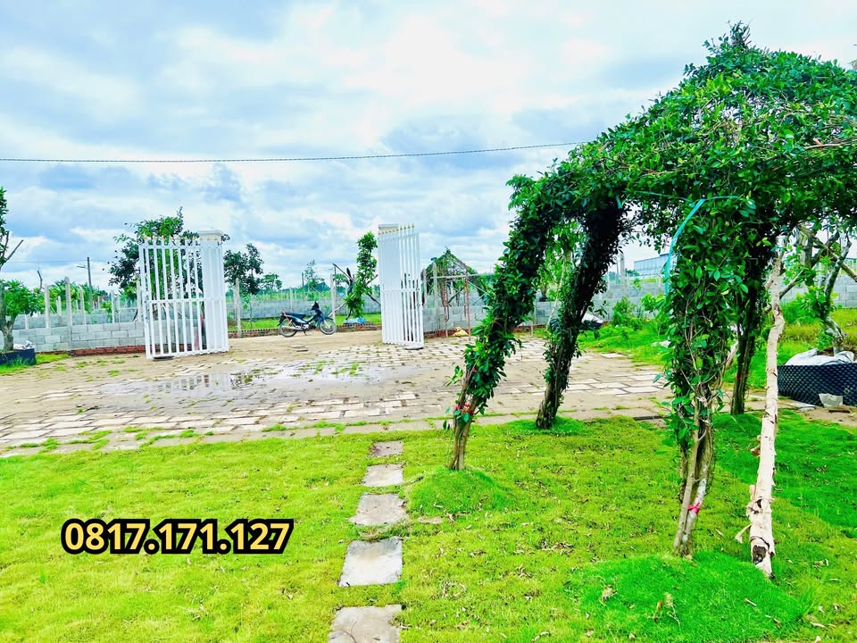 Đất nhà vườn 1070m² Gò Dầu 1.2 tỷ - Tiềm năng đầu tư lớn!