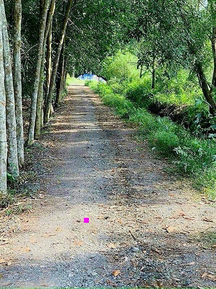 Đất nền Củ Chi 4.200m² giá 7.5 tỷ - Mặt tiền Tỉnh Lộ 7, vị trí đắc địa!