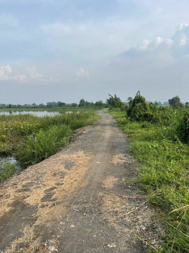 Đất vườn ấp 7 xã Tân Thạnh Đông 1054m² giá 2.1 tỷ - Cơ hội vàng cho nhà đầu tư!