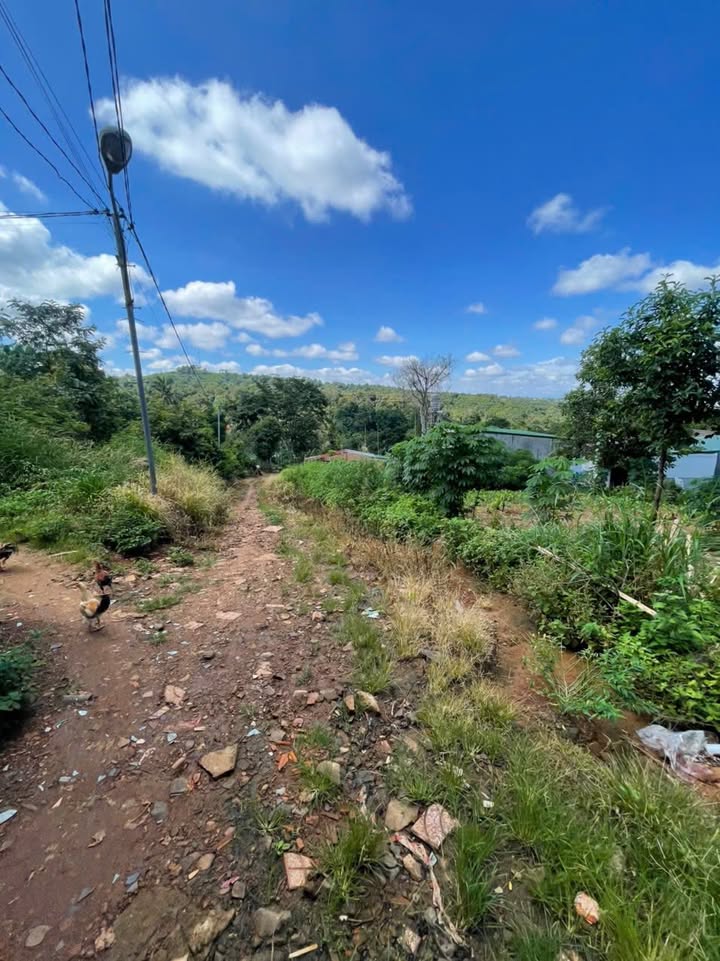 Đất nền hẻm 362 Hùng Vương 100m² giá 430 triệu - Cơ hội đầu tư hấp dẫn!