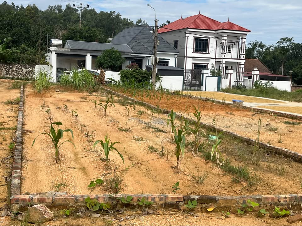 Lô đất tại Thắt Gian, Châu Phong, Bắc Ninh - Diện tích 88m², giá từ 900 triệu, đầu tư sinh lời cao!