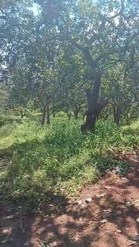 Đất nền Phú Văn 1,4ha giá 900 triệu - Đầu tư sinh lời ngay!