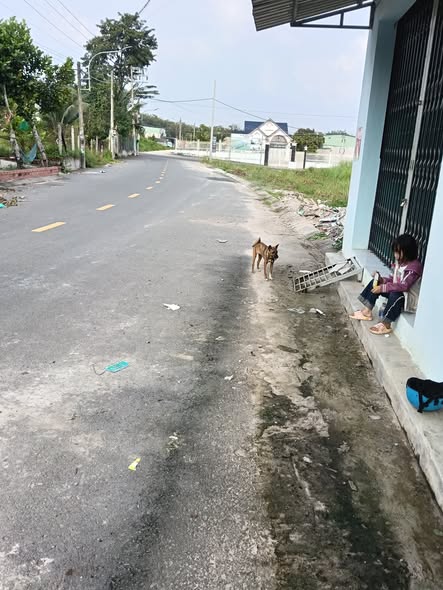 Đất nền Bến Tượng, Bến Cát 143m² giá 1.3 tỷ - Cơ hội đầu tư hấp dẫn!