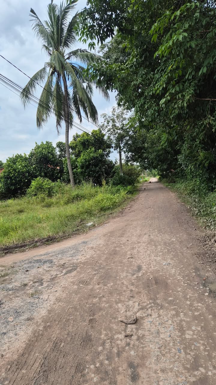 Đất thổ cư Hảo Đước Tây Ninh 125m² giá chỉ 499 triệu - Cơ hội đầu tư hấp dẫn!