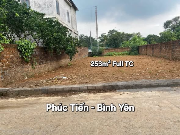 Đất nền Phúc Tiến, Bình Yên, 253m² chỉ 40 triệu/m² - Đầu tư sinh lời hấp dẫn!