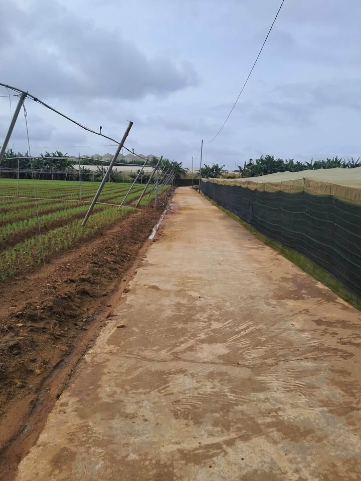 Đất nền xã Ka Đô - 5 sào mặt tiền 120m giá 1.5 tỷ - Cơ hội đầu tư tuyệt vời!