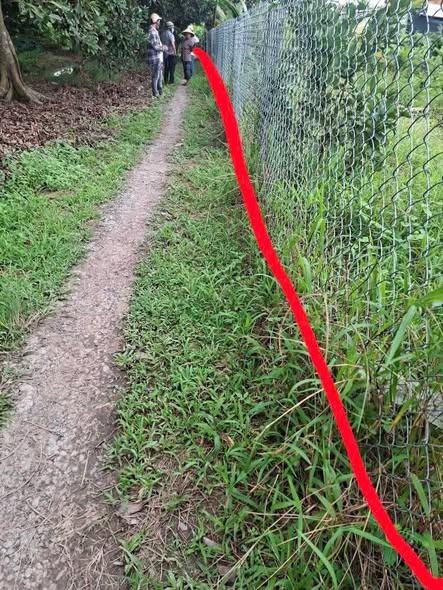 Đất Long Thới Chợ Lách 1000m² giá 550 triệu - Mặt tiền 35m, cơ hội đầu tư tuyệt vời!