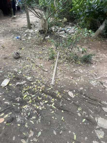 Đất nền Sơn Lân, Chợ Lách 700m² giá 240 triệu - Cơ hội đầu tư hấp dẫn!