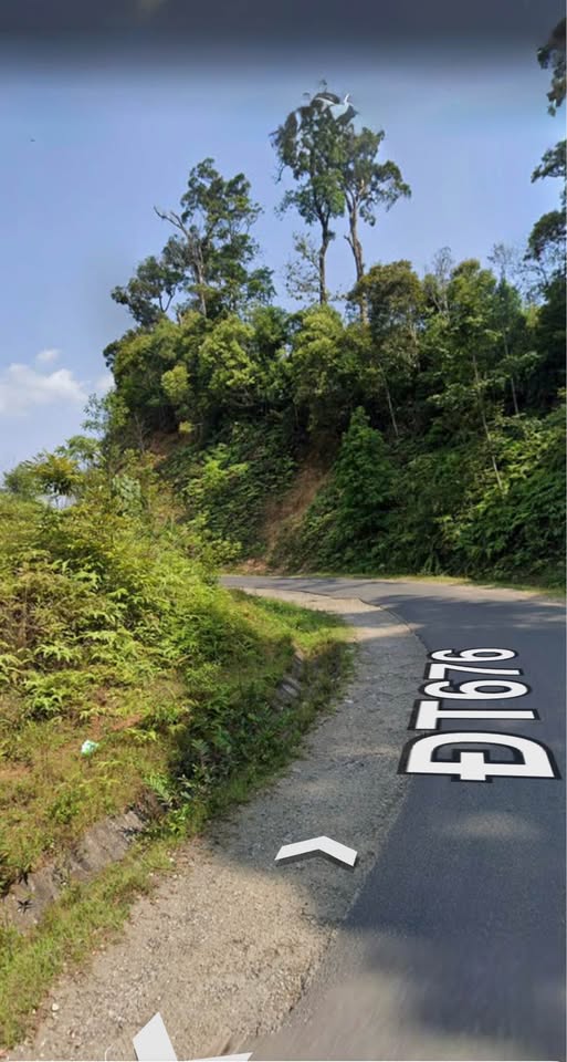 Đất CLN Măng Cành, Kon Plông 2000m² giá 1.3 tỷ - Phù hợp làm home và vườn