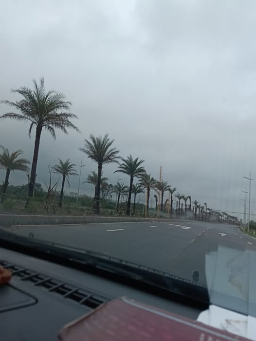 Đất nền Tiên Tân Phủ Lý 50m² - Lô góc hiếm có, giá thỏa thuận!