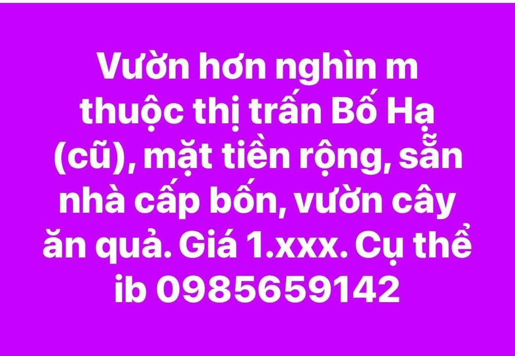 Farm 1000m² tại Bố Hạ, Yên Thế - Mặt tiền rộng, giá thỏa thuận!