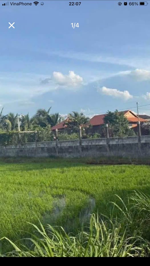 Nhà vườn mặt tiền Đường Công Vụ, Khánh Hậu, 1133.6m² - Giá chỉ 3.25 tỷ!