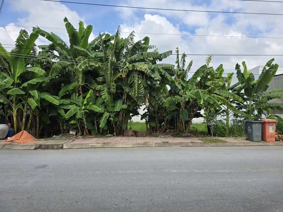 Đất nền mặt tiền đường Phạm Văn Trạch, Tân An, Long An 260m² giá 5.5 tỷ - Đầu tư sinh lời ngay!