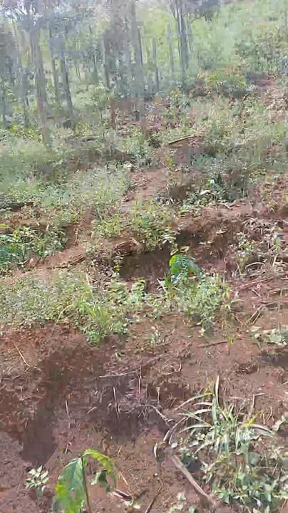 Đất nền Gia Nghĩa 15.000m² giá 800 triệu - Cơ hội đầu tư tuyệt vời!