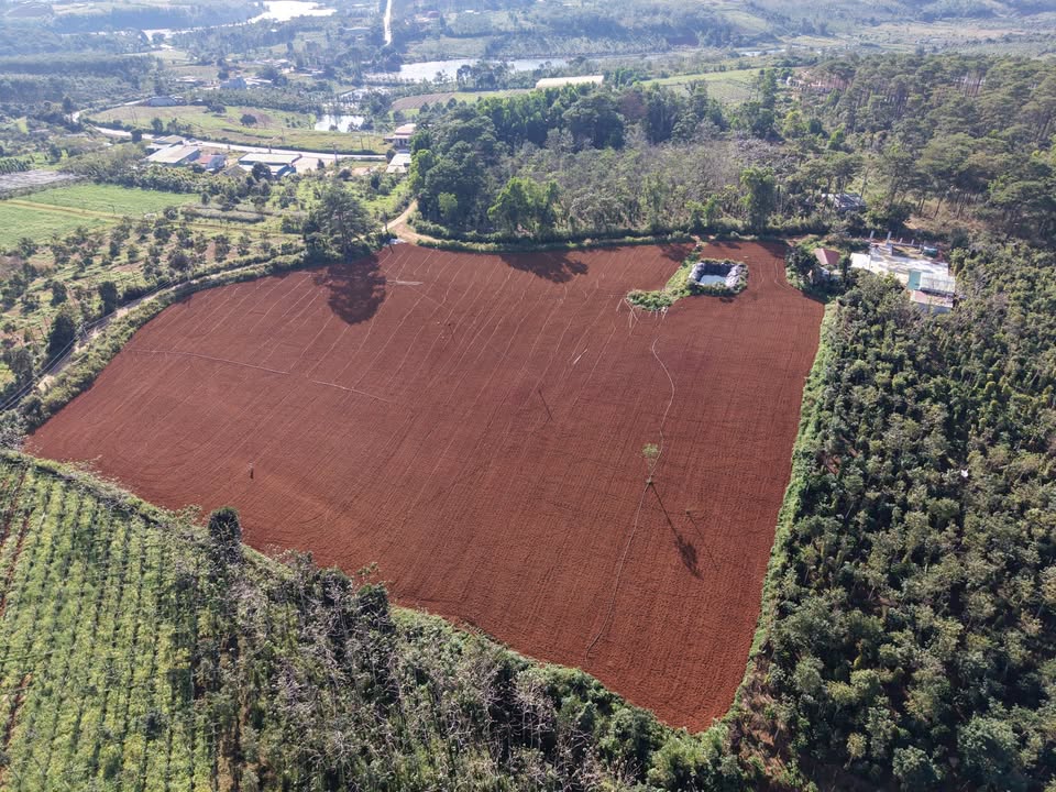 Đất nền 1,9ha tại Bắc Gia Nghĩa, Đắk Nông - Giá đầu tư chỉ 3,5 tỷ!