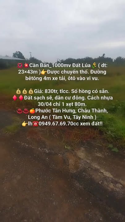 Đất thổ cư 1000m² tại Phước Tân Hưng, Châu Thành - Giá chỉ 830 triệu, sổ hồng dễ dàng chuyển nhượng!