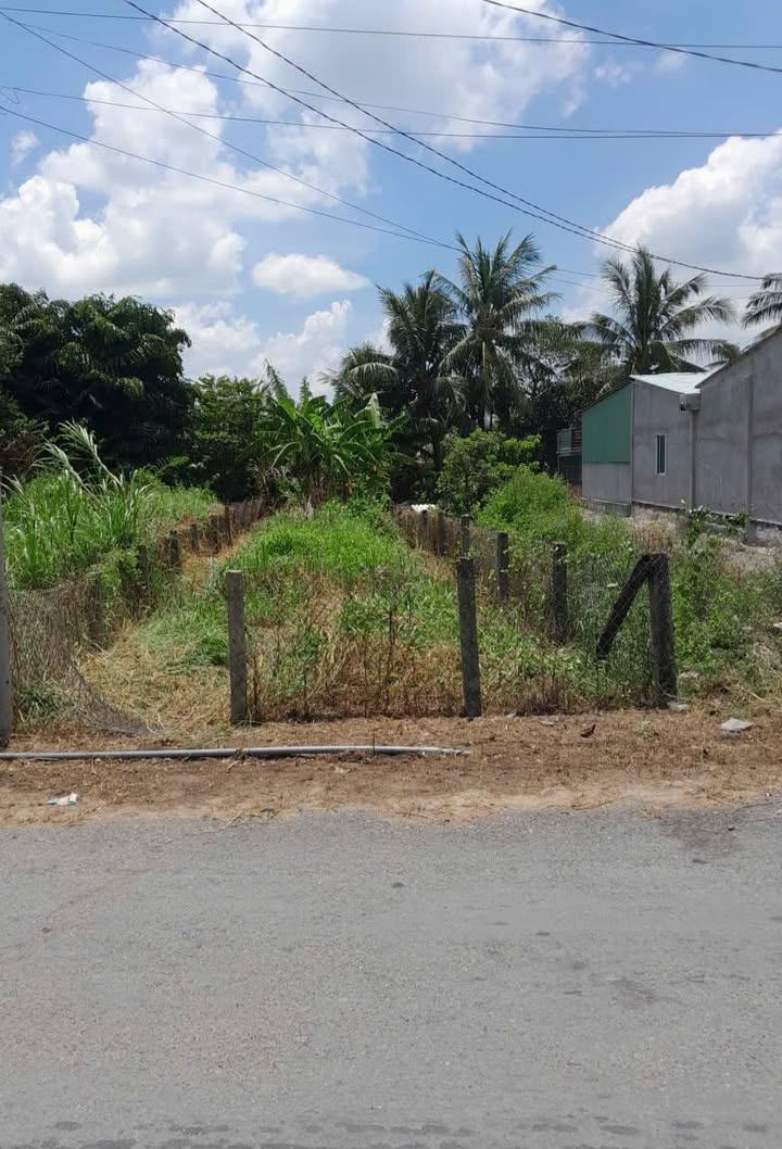 Đất nền mặt tiền đường Nguyễn Thị Chữ, phường Bình Tâm, 160m², giá 1.4 tỷ - Đầu tư sinh lời ngay!