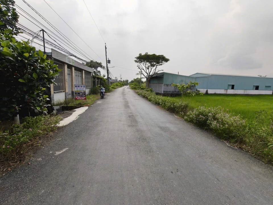 Đất thổ cư 500m² tại xã Mỹ Lệ, huyện Cần Đước, giá 2.2 tỷ - Mặt tiền đường liên xã Tân Trạch