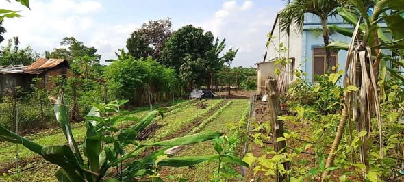 Đất thổ cư Cư Jút 360m² giá 3.6 tỷ - Chính chủ cần bán gấp!