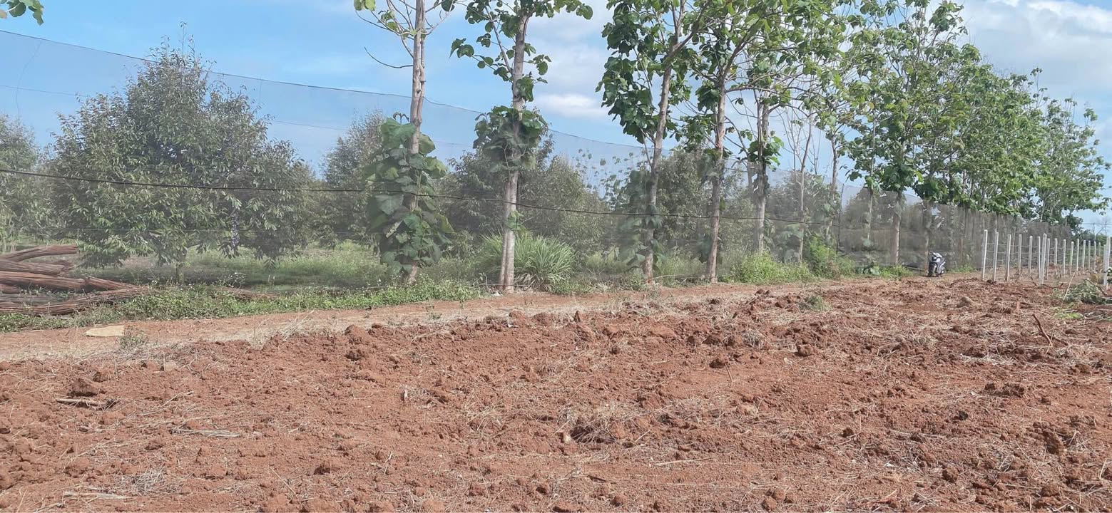 Đất nền 2 mặt tiền xã Quảng Phú, Cư M'gar 2274m² giá 930 triệu - Cơ hội đầu tư tuyệt vời!