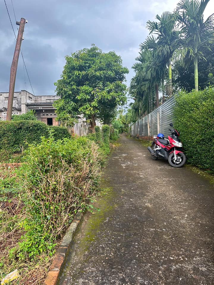 Đất thổ cư Tân Lập 125m² giá 780 triệu - Cơ hội sở hữu tổ ấm riêng!