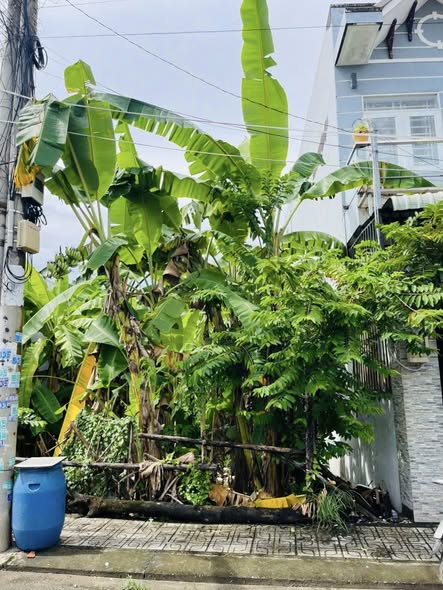 Đất nền Long Trường, Thủ Đức 59m² giá 3.5 tỷ - Cơ hội đầu tư sinh lời!