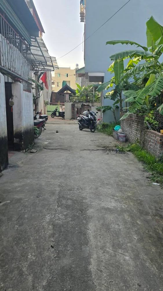 Đất nền Đông Anh 65m² giá 8.45 tỷ - Vị trí đắc địa, đầu tư sinh lời