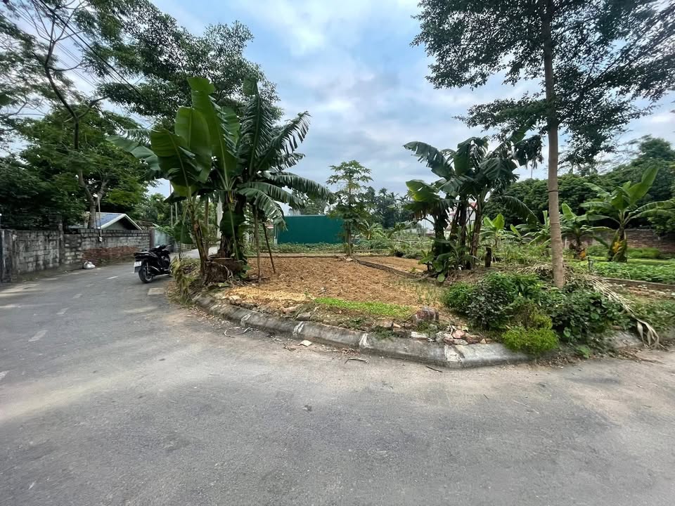 Đất nền Phú Nghĩa, Chương Mỹ 81m² - Lô góc 2 mặt thoáng, giá đầu tư tốt!