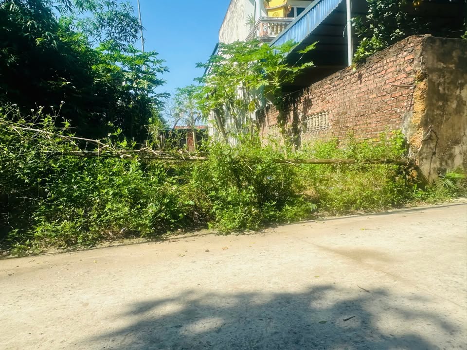 Đất ở Hạ Bằng, Thạch Thất 125m² - Pháp lý rõ ràng, vị trí thuận lợi!