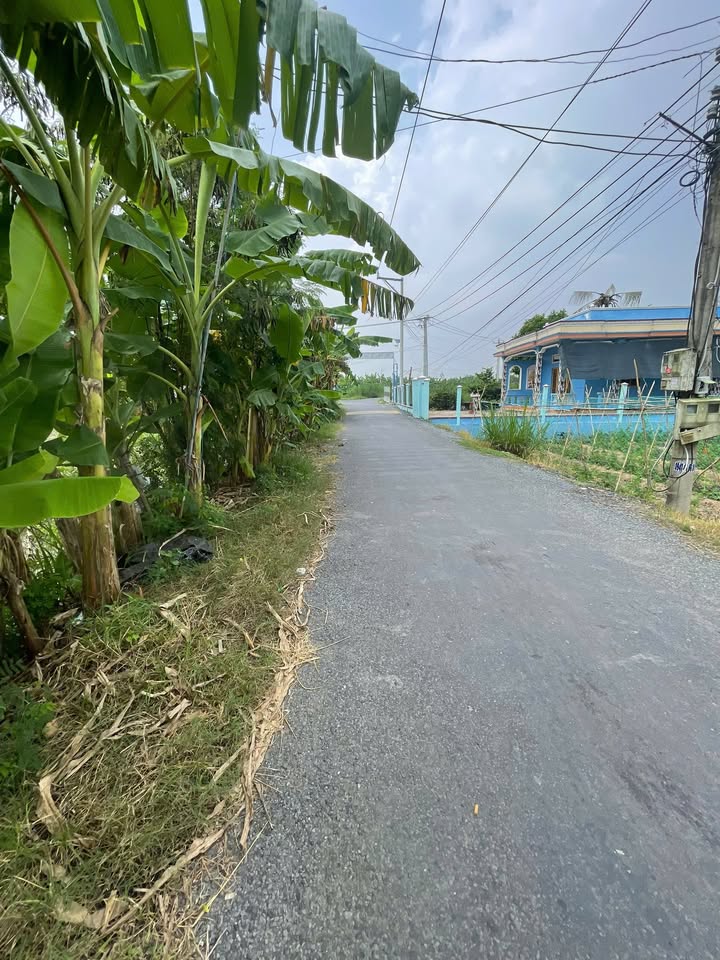 Đất nền Bình Phú Gò Công Tây 168m² giá 395 triệu - View kênh thoáng mát!