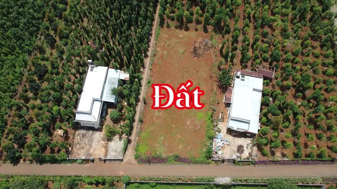 Đất thổ cư mặt tiền đường Kim Long Láng Lớn 130m² giá chỉ 620 triệu - Cơ hội đầu tư tuyệt vời!