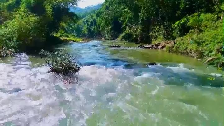 Đất nền Xuân Đài Tân Sơn 50m² giá chỉ 400 triệu - Bám suối riêng mát rượi!