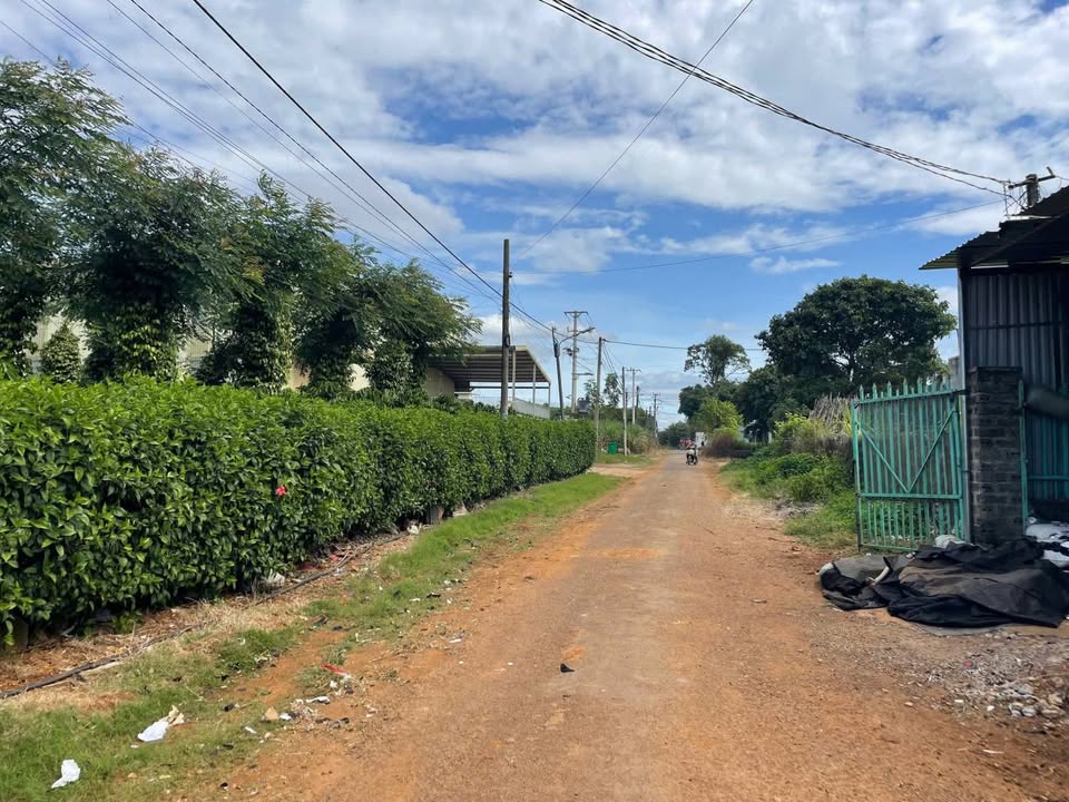 Đất nền hẻm Lý Thường Kiệt, Pleiku 800m² giá 1.2 tỷ - Vị trí đắc địa cho đầu tư!