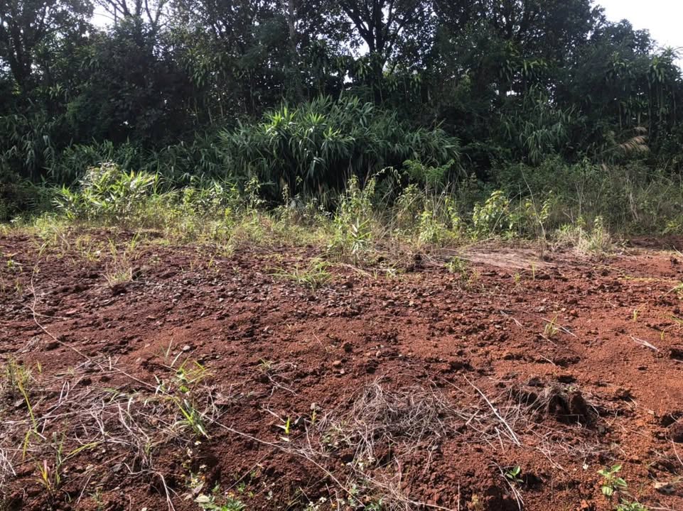 Đất nền Bảo Lộc 114m² giá 1.15 tỷ - View đẹp, ô tô vào tận nơi!